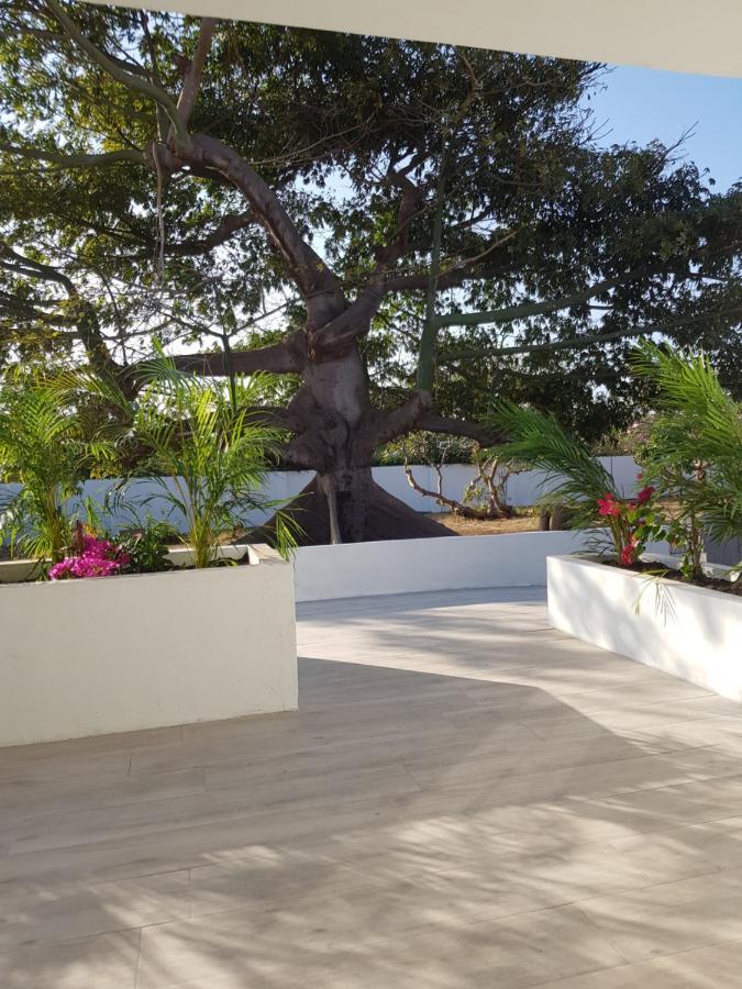 4-Pers Accomodatie Julianadorp, Curacao Віллемстад Екстер'єр фото
