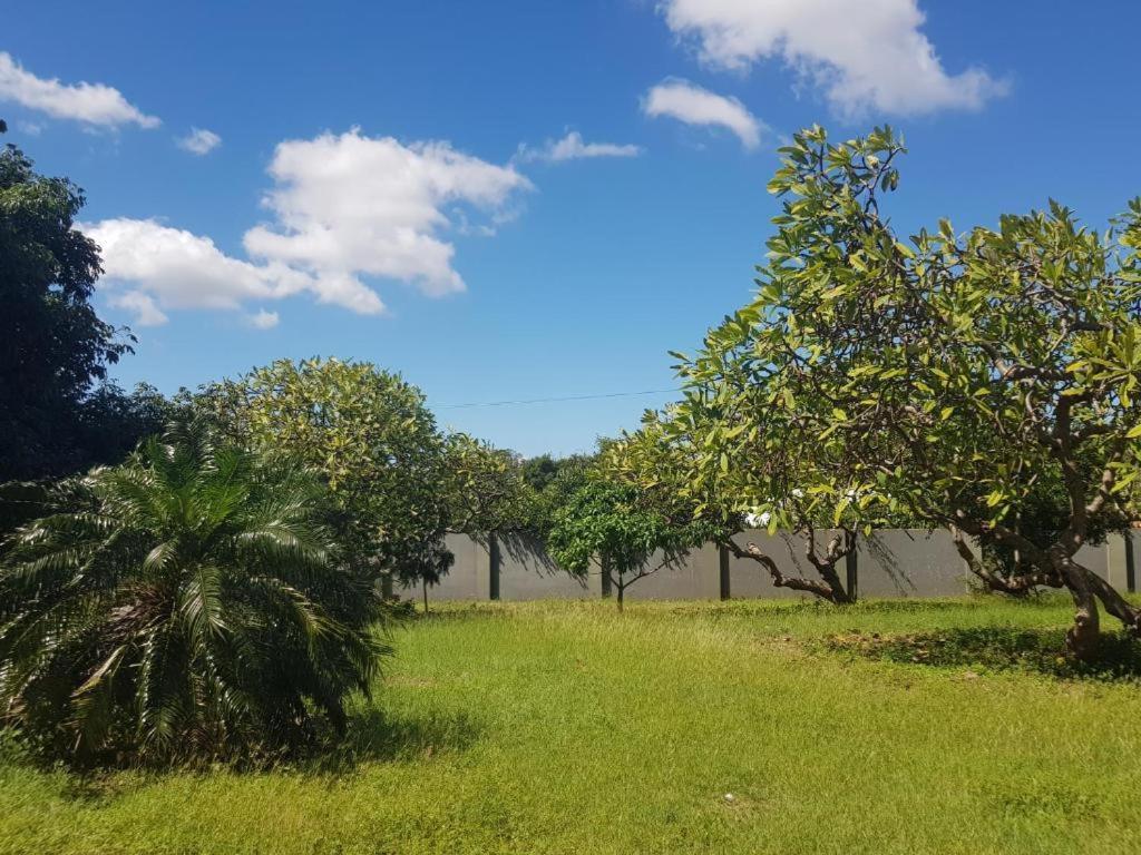 4-Pers Accomodatie Julianadorp, Curacao Віллемстад Екстер'єр фото
